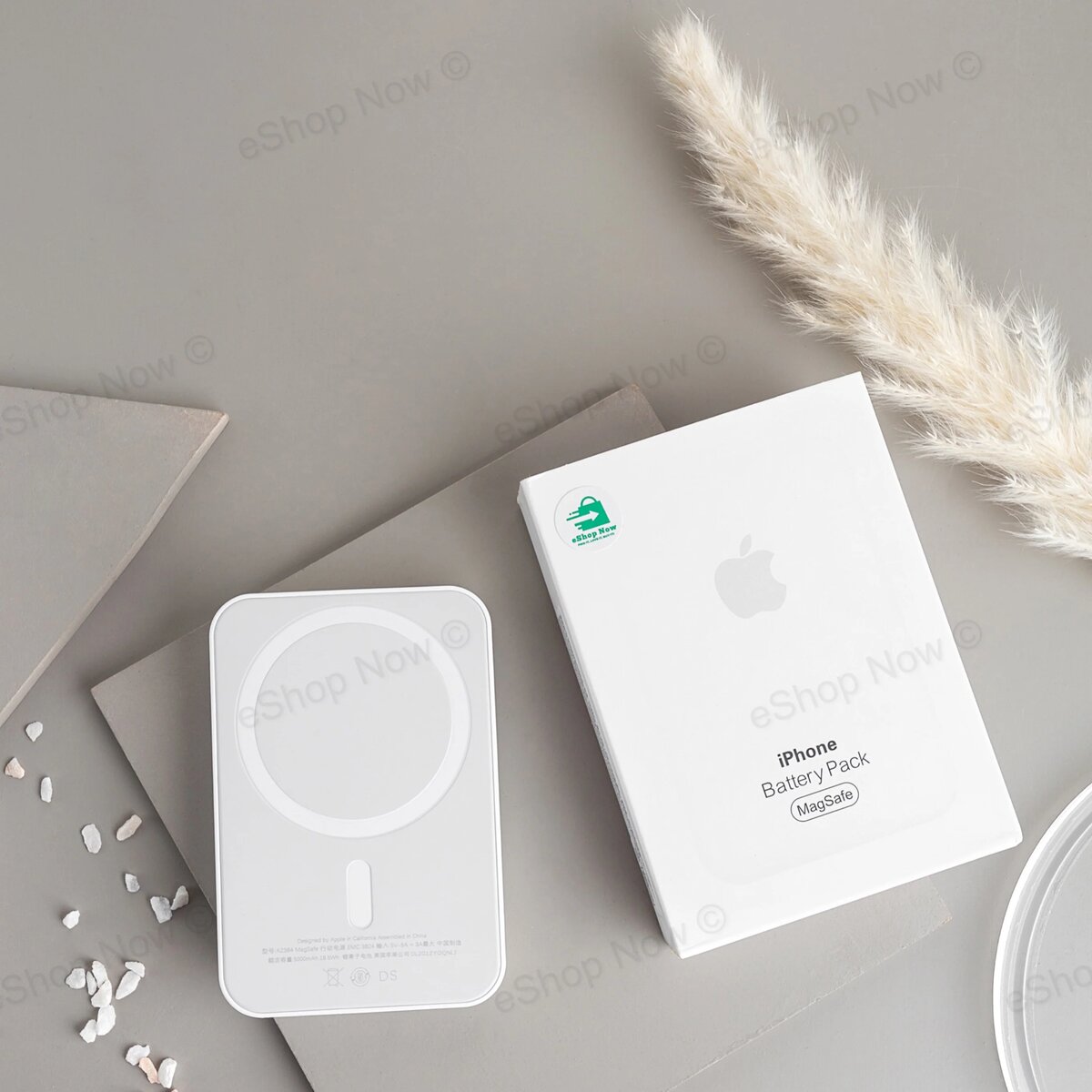 iPhone MagSafe PowerBank