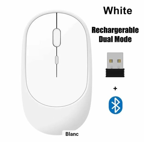 Souris Bluetooth Rechargeable