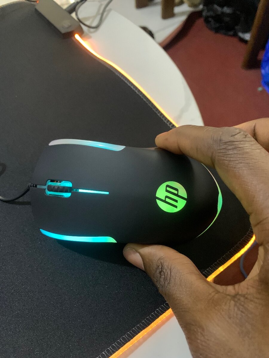 Grand Tapis et Souris Gaming