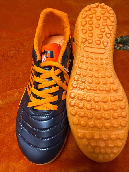 Сороконожки