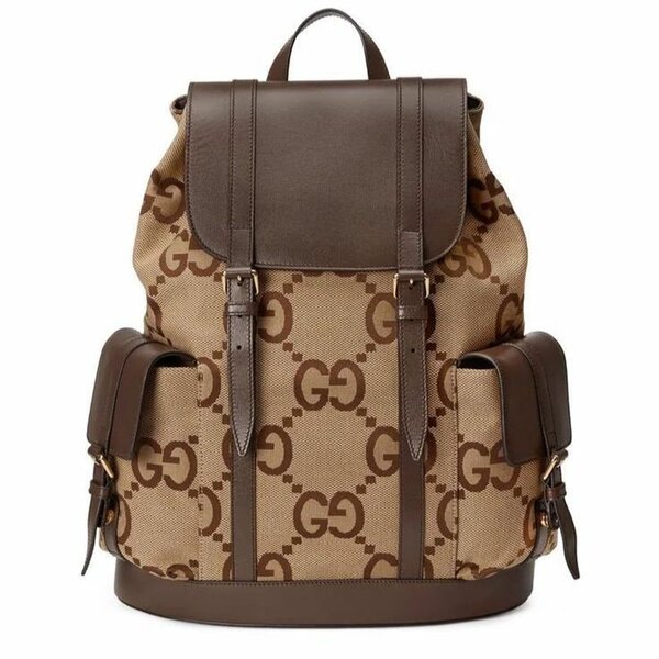Louis Vuitton backpack