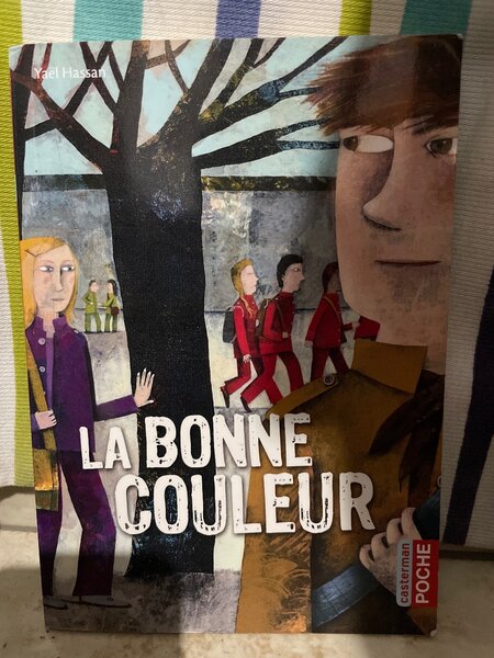 La Bonne Couleur - Roman