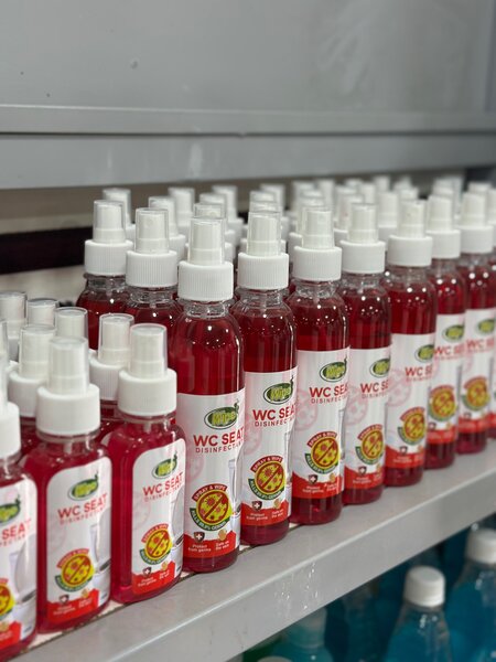 250ml WIPE WC SEAT DISINFECTANT