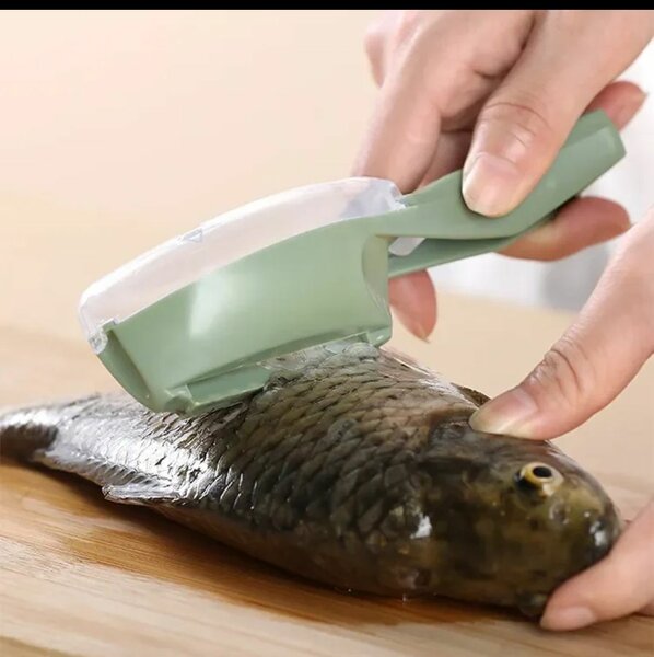 Écailleur à Poisson Pratique