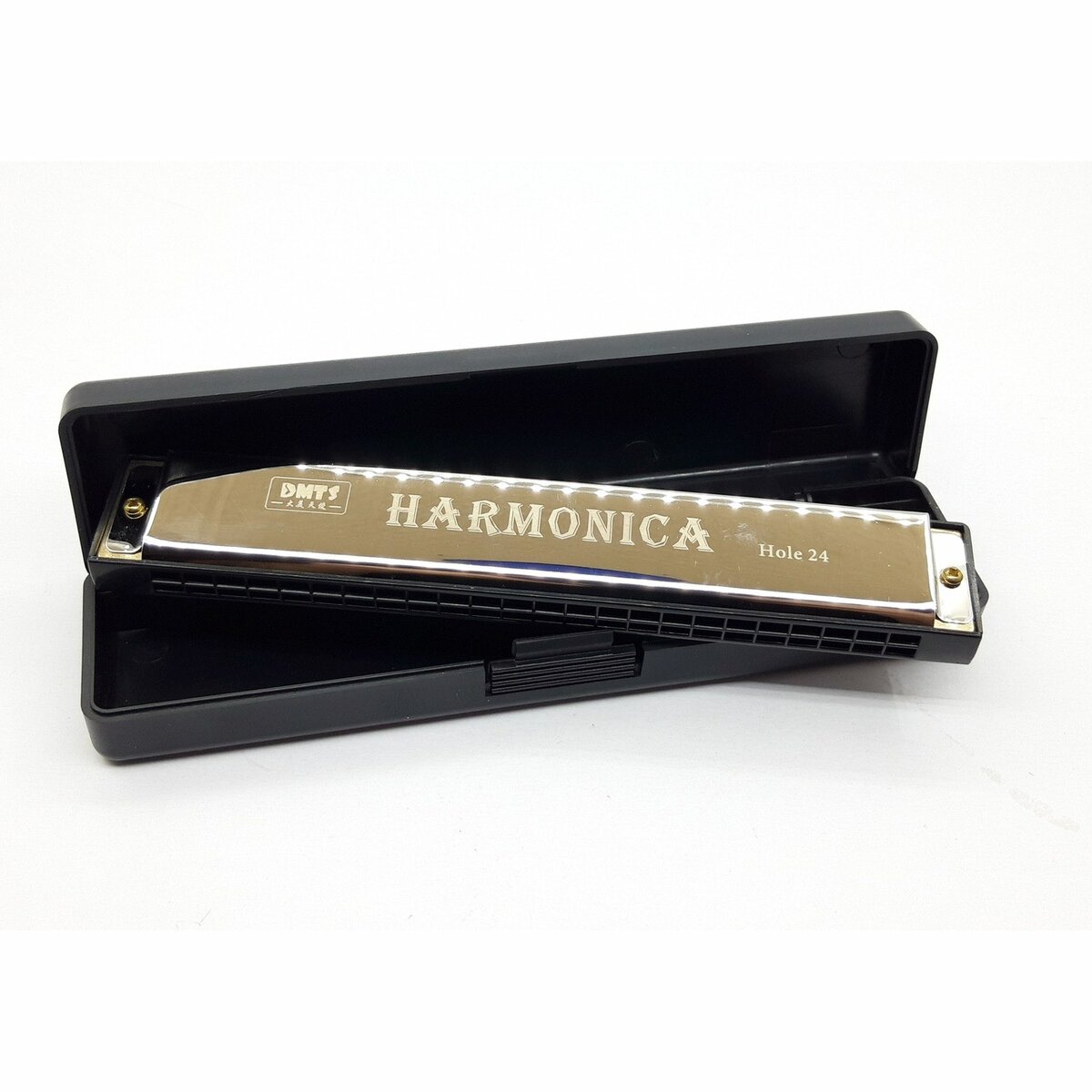 Harmonica professionnel 24 holes