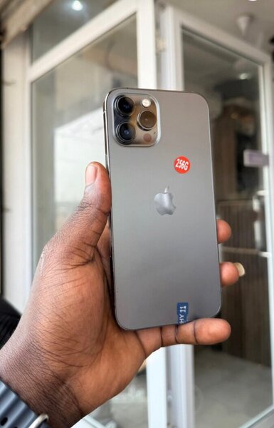 iPhone 13 pro max 256gig