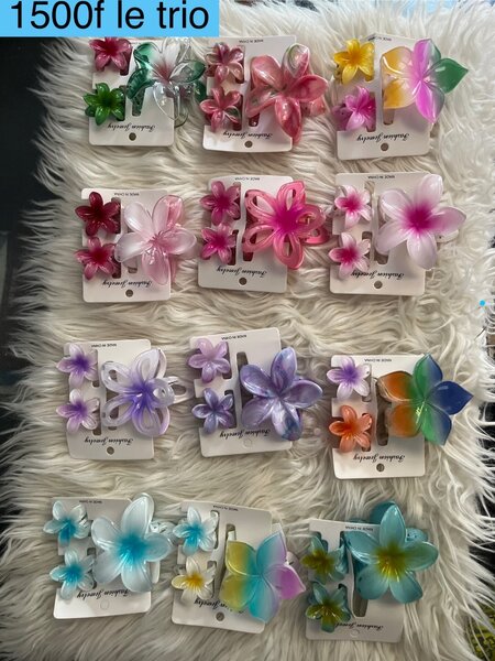 Barrettes clips