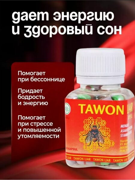 Tawon Liar Пчёлка