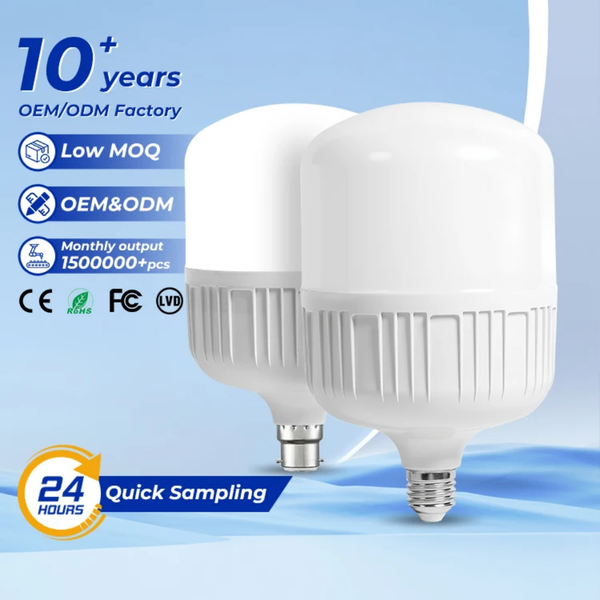 Ampoule LED Économique B22