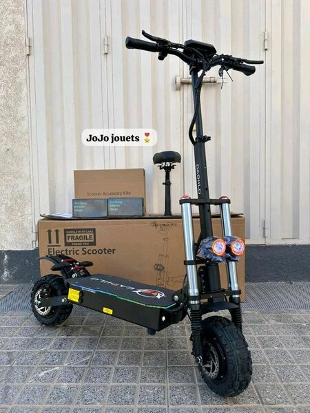 Trottinette Électrique Puissante