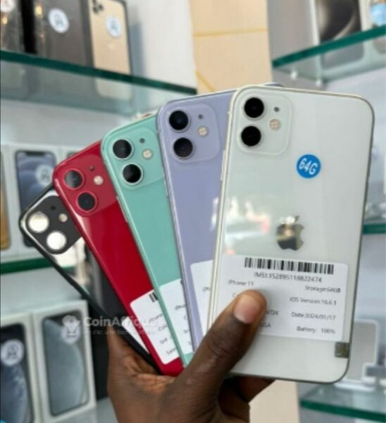 iPhone 11 - Diverses couleurs