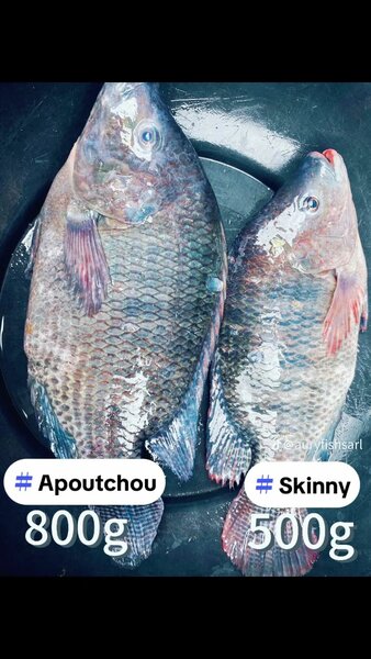 Carpes d'eau douce : +800g
