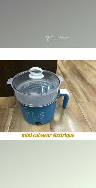 Cuiseur à vapeur électrique