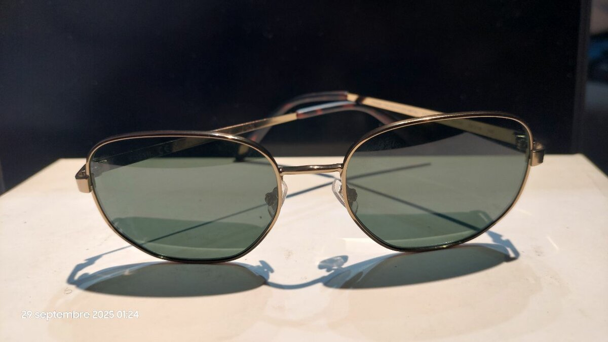 Lunettes de Soleil Vintage Élégantes