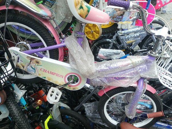 China cycle champion company