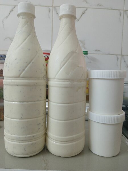 Yahourt, dèguè de mil-couscous