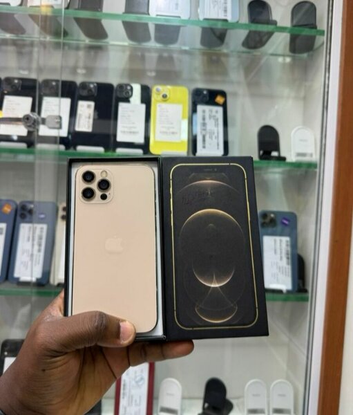 iPhone 12 Pro Max doré