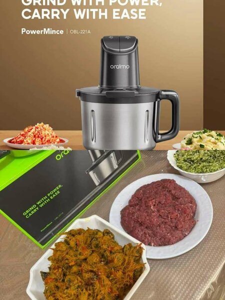 Mixeur broyeur électrique en acier inoxydable