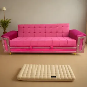 Designer Sofa Cum Beds