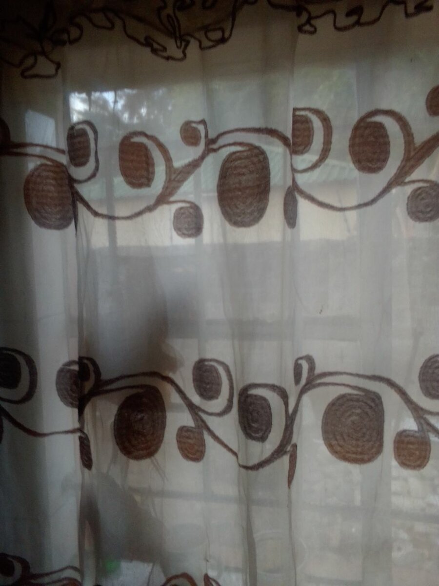 Kitchen curtains
