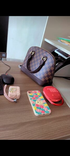 Louis Vuitton handbags