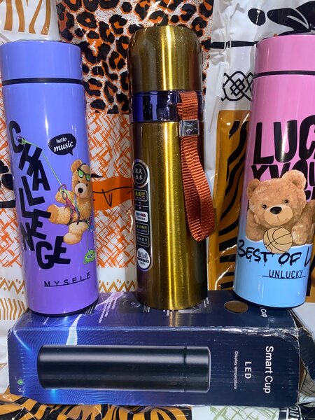 Bouteille Thermos LED Colorée