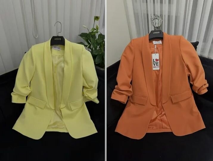 Blazers élégants pour femmes