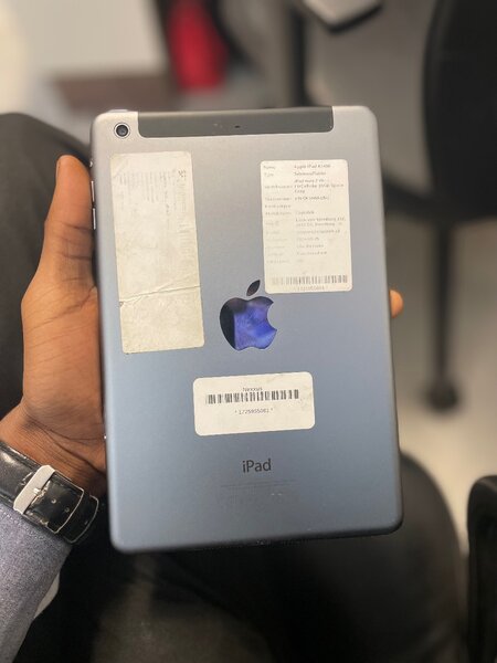 iPad mini2