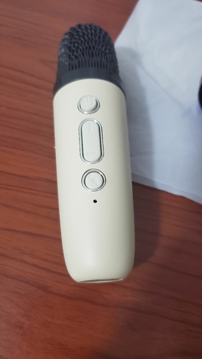 Enceinte bluetooth Karaoké