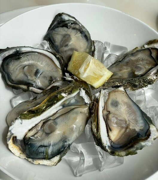 Huîtres fraîches sur glace