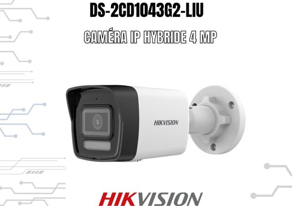 Caméra IP POE Dual Light Bullet/Dome