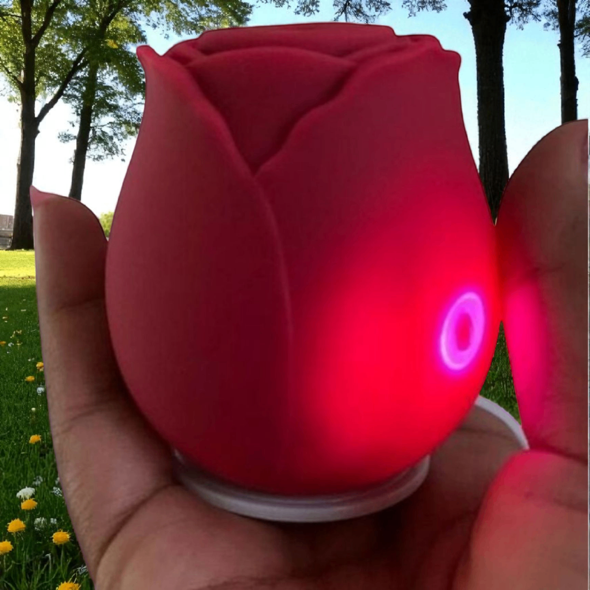 Sextoys Clito et Sein SN22