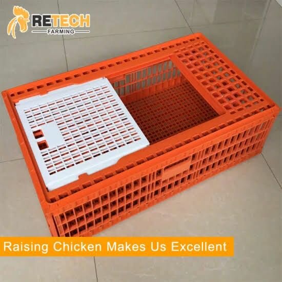 Caisse de transport poulets en plastique