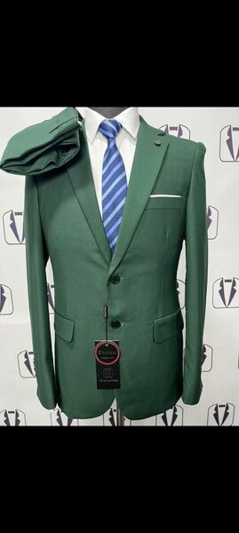 Costume Homme Vert Élégant