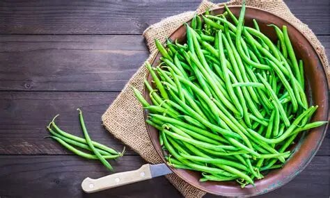 Haricots verts frais bio