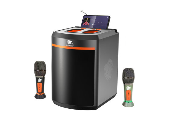 Système de Karaoké Bluetooth