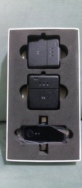 Microphone Sans Fil SX31