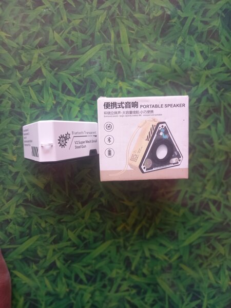 Portable Bluetooth speaker