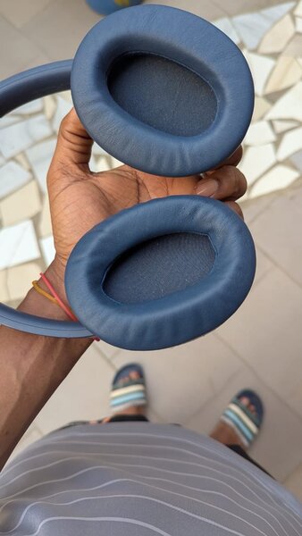 Écouteurs Sony bleus