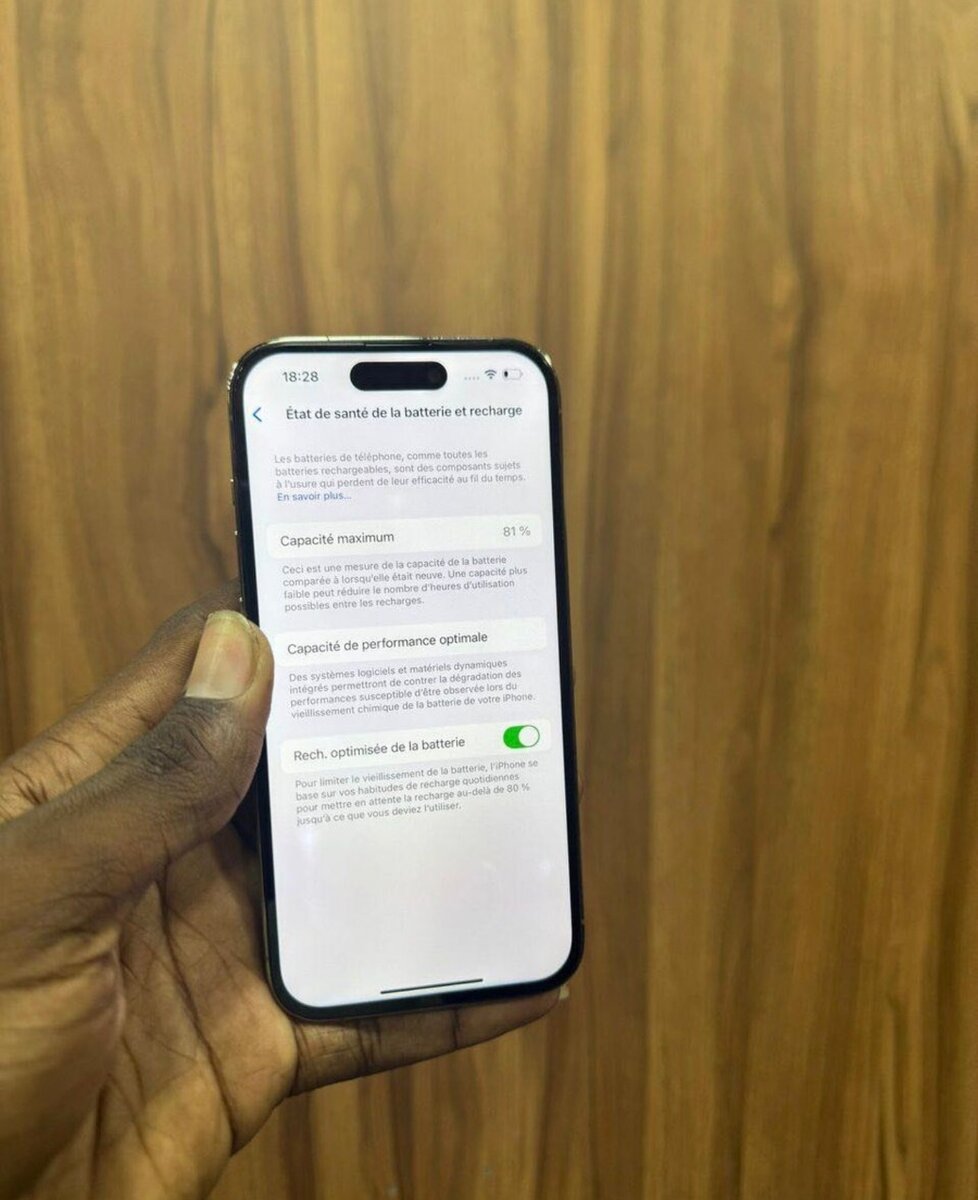 iPhone 14 Pro Max 256 Go