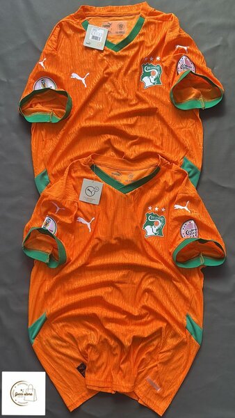 Maillot Côte d'Ivoire Puma