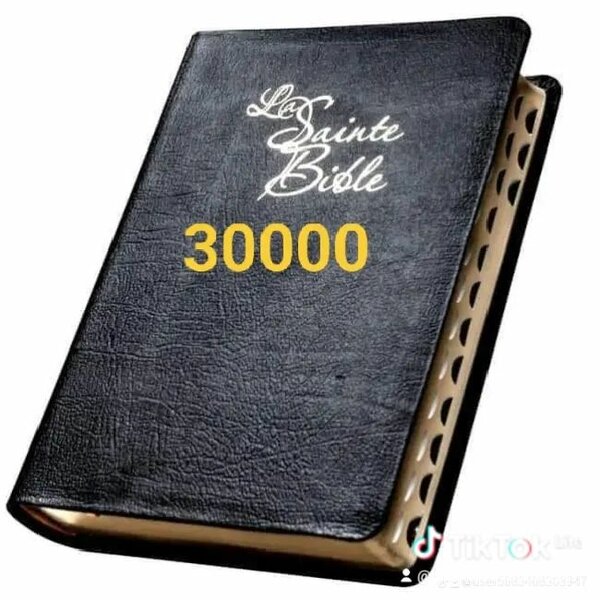 Louis Segon grande écriture