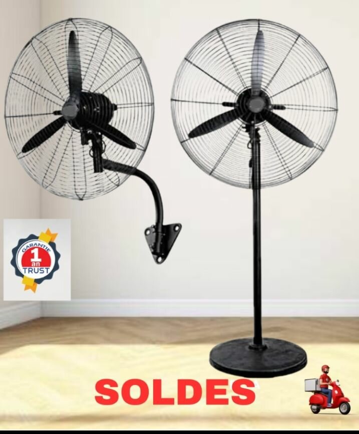 Ventilateur mural et sur pied
