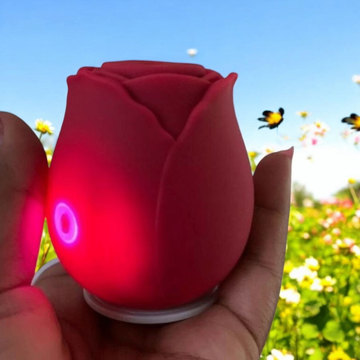 Sextoys Clito et Sein SN18