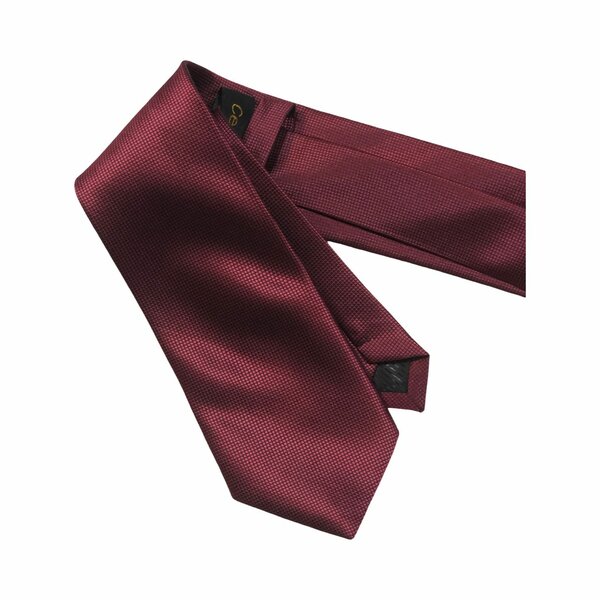 Cravate élégante pour homme