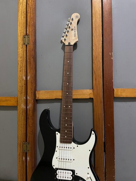 Electric Guitar with Rosewood Fretboard
