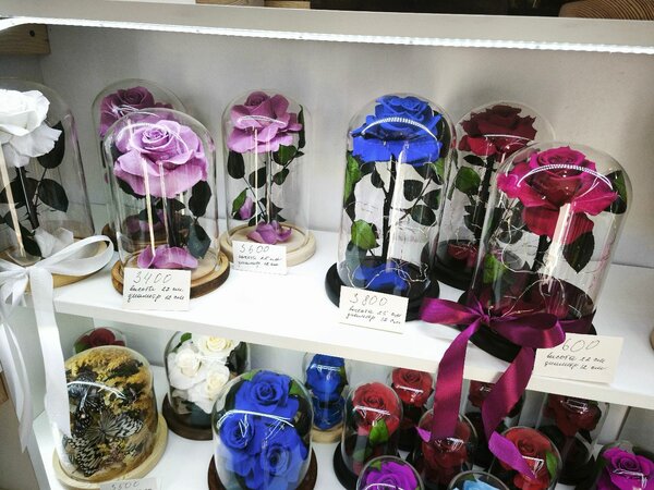 Живые цветы которые не завянут даже через год