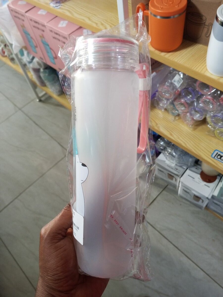 Bouteille d'eau We Bare Bears 500ml