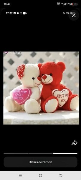 Duo d'ours en peluche amour