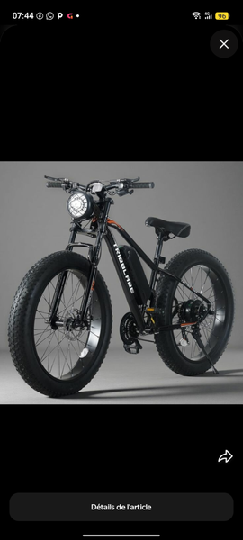 Vélo électrique tout-terrain